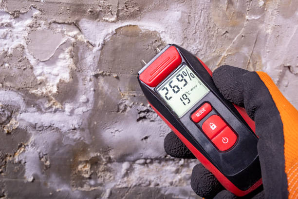 Best Mold Remediation for Schools in Nashvle, IL