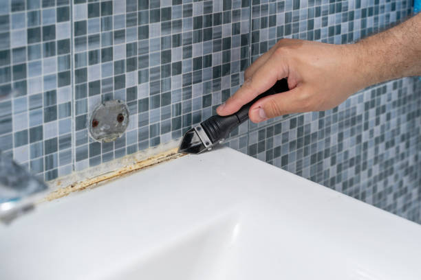 Best Mold Testing and Inspection Services in Nashvle, IL