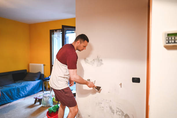 Best Black Mold Remediation in Nashvle, IL
